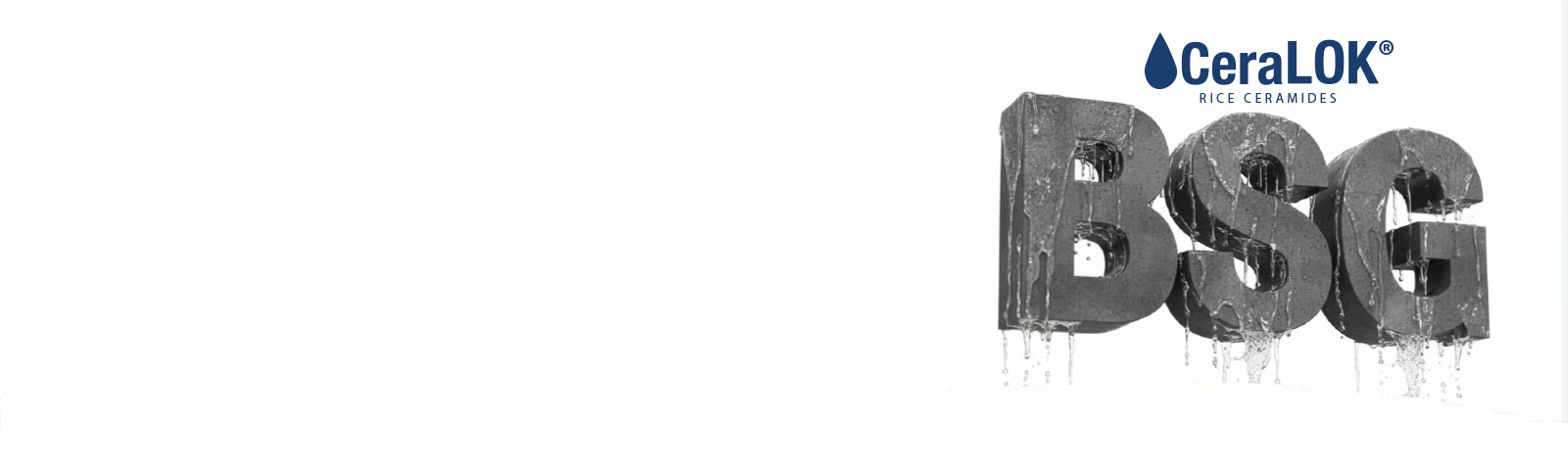 Letters BSG on a banner image