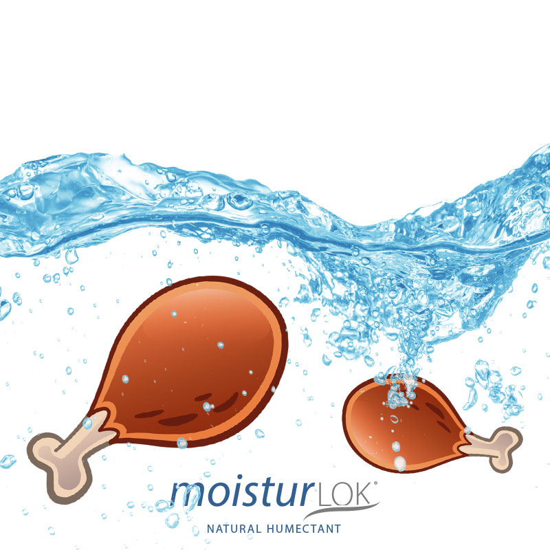 Image of MoisturLOK® Logo and banner